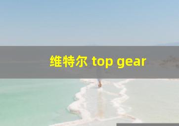 维特尔 top gear